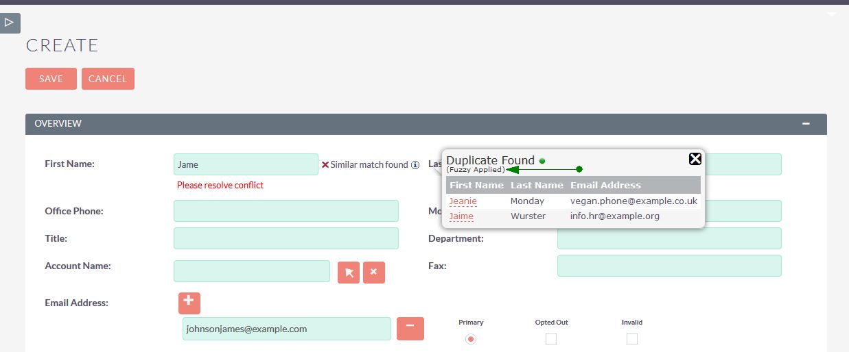 DupDetector Duplicate Fuzzy Result